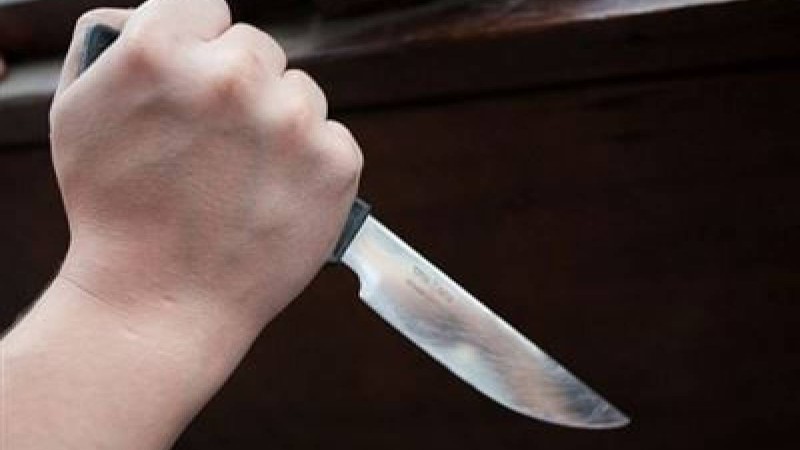 Қарағанды облысында егіз жігіт сыңарын өлтіріп тастады