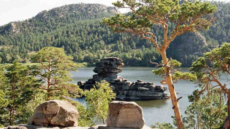 Тоқаев Бурабайдағы ағаштарды кесуге тыйым салды
Мемлекет басшысы: Су құбырын салу деген сылтаумен ұлттық байлығымыз құрып жатыр