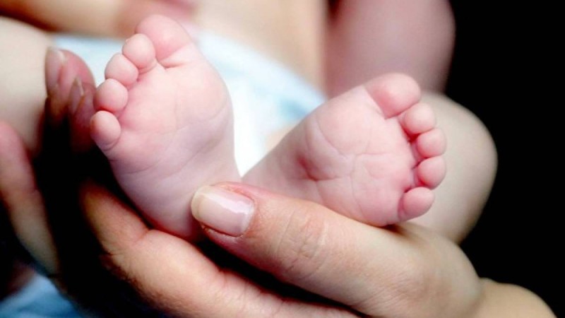 облыстық басқарма басшысы қызметінен кетті