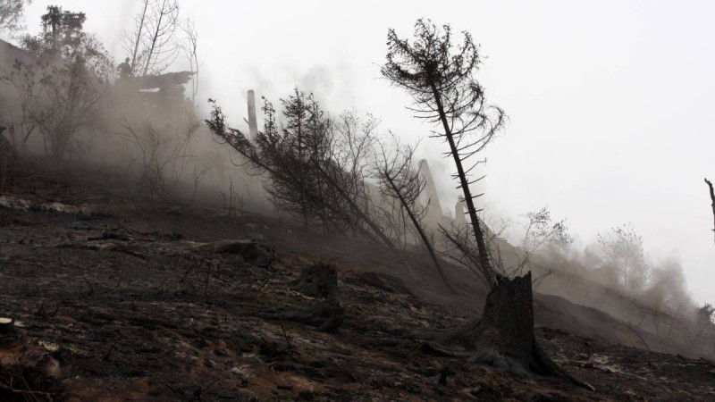 Қарқаралыдағы өрт аумағы бесе есе ұлғайды