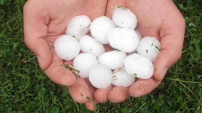 Ауа райы болжамы - 12 маусым: Шымкент, Тараз, Алматы, Шардара, Атырау