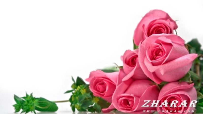 1 Наурыз - Алғыс айту күні (Қазақша - орысша сценарий)