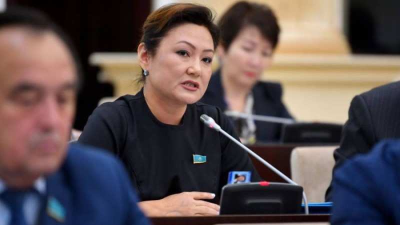 Дана Нұржігіт халыққа кредит беру мәселесін көтерді