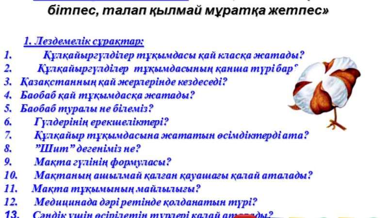 Презентация (слайд): Бұршақ тұқымдастар