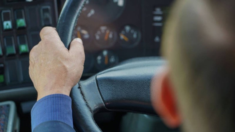 Павлодар облысында зейнеткер көлікті айдап әкетті