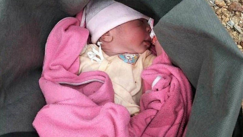 Көкек ана шаранасын қоқыс шелегіне тастап кеткен