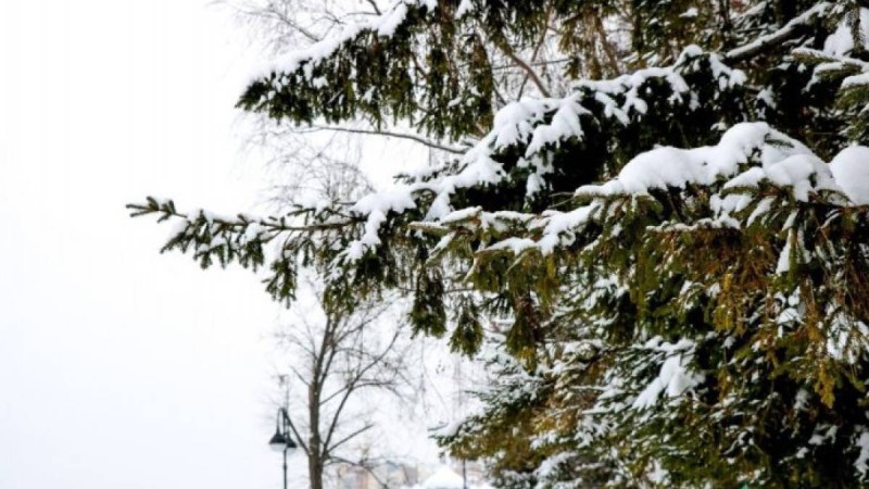 Көктемнің алғашқы күні елімізде ауа-райы қандай болмақ