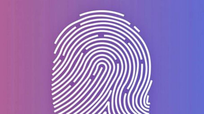 Адам денесіндегі өзгермейтін белгілер