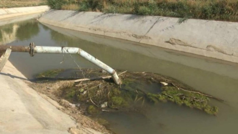 Қызғаныш үшін: Түркістан облысында жас жігіт сүйіктісін суға батырып өлтірген - Қазақстан жаңалықтары