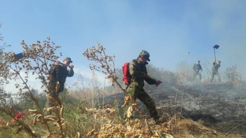 Көктөбедегі жойқын өрттің мән-жайы белгілі болды