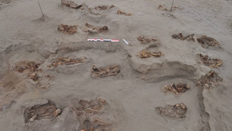 Құрбандыққа шалынған 140 баланың сүйегі табылды