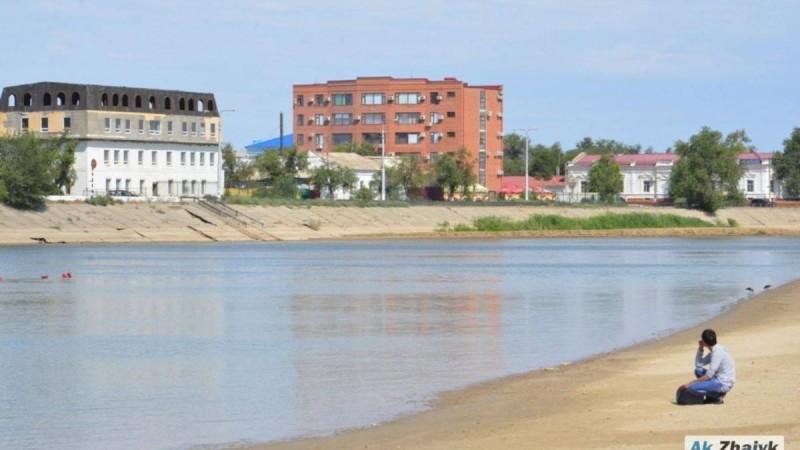 "Қырылған балық, лайланған арна". Жайық өзені неге құрғап барады?