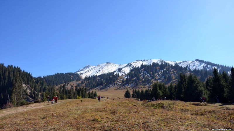 Тоқаев "Көкжайлау" жобасын кейінге қалдыру ұсынысын қолдады