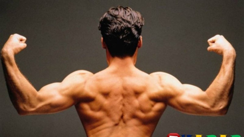 Бұлшықетіңізді қатайтатын тағамдар