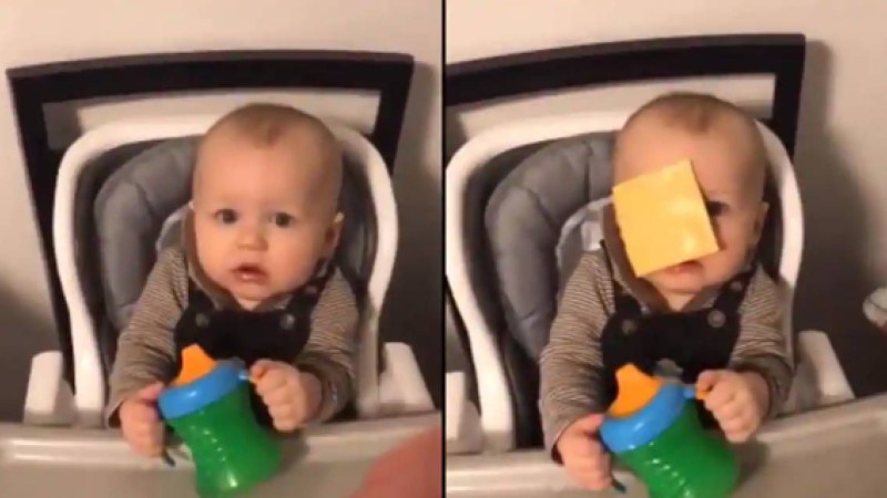 ​Қызық флешмоб: Балалардың бетіне ірімшік лақтыру желіні жарды