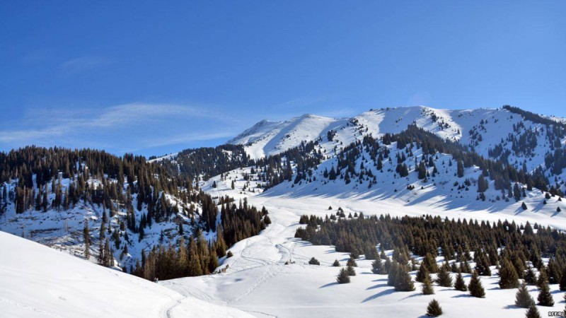 Алматы әкімі "Көкжайлау" курортының жобасын кейінге қалдыруды ұсынды