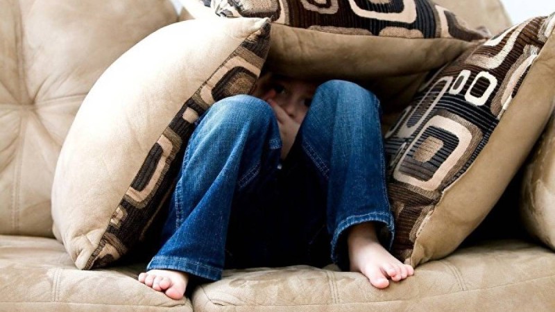 Абай ауылында 7 жасар баланы зорлау ісі: сот үкімі қайта қаралды