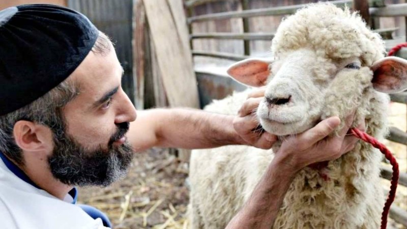 Құрбандық шалатын кезде нені ескеру қажет - Қазақстан жаңалықтары