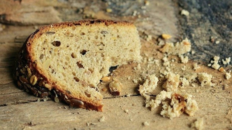 Нұр-Сұлтанда айлап жалақы алмаған жұмысшылар аштық жариялады