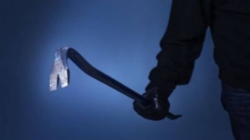 Алматы облысында қылмыстық топ кафеге басып кірді