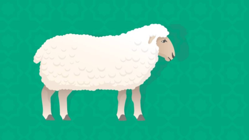 Құрбан айт 2019: құрбандық шалу шарттары