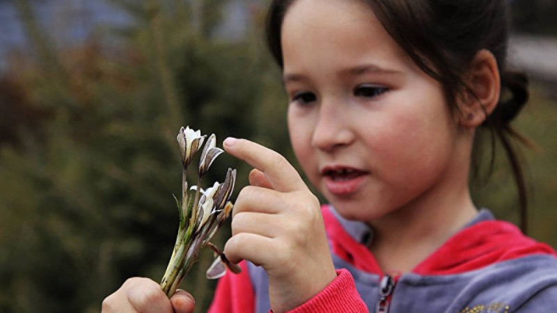 Ауа райы болжамы: 8 наурыз