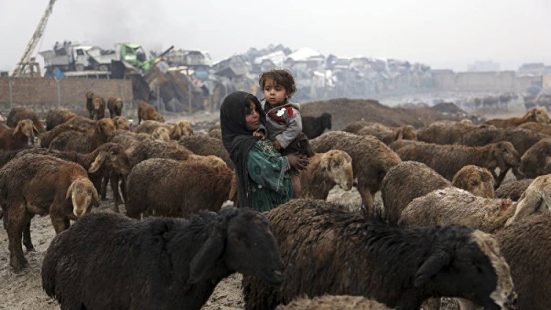 Қазіргі Ауғанстан балалардың көзімен - фотолента