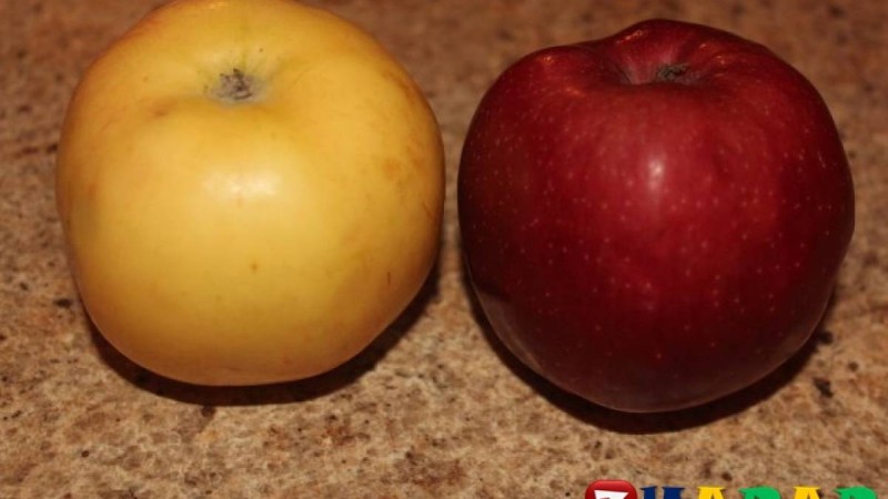 Шаш шаятын сұйықтық дайындайық