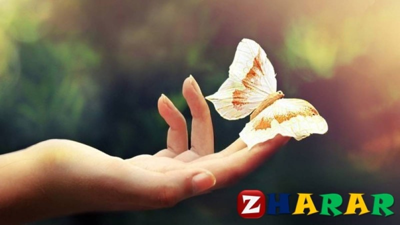 Саған адал әйел