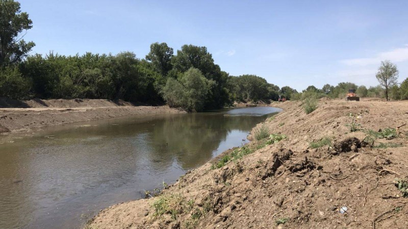 Ақтөбе өзендерін тазалаған кезде ағаштарды заңсыз отағандар үстінен іс қозғалды