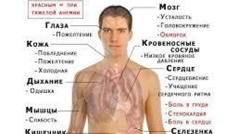 Анемиядан арылу жолдары