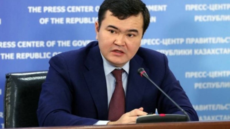 Нұрлы жер: Көпбалалы отбасылар үшін арнайы бөлім құруды ұсынамыз