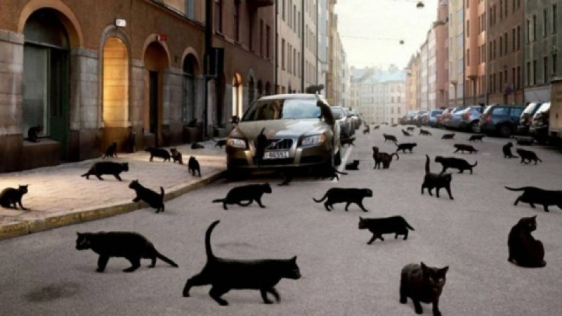 "Жүкті әйел шашын қиса, бала кемтар болып туады": Ырымдар туралы не білесіз?