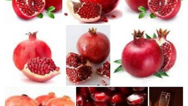 Анардың денсаулыққа пайдасы |