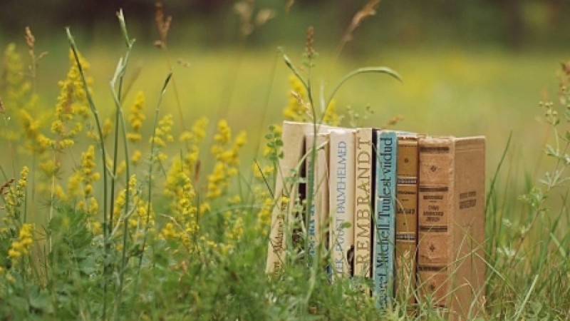 Massaget.kz ұсынады. Жігіттерге арналған бес роман