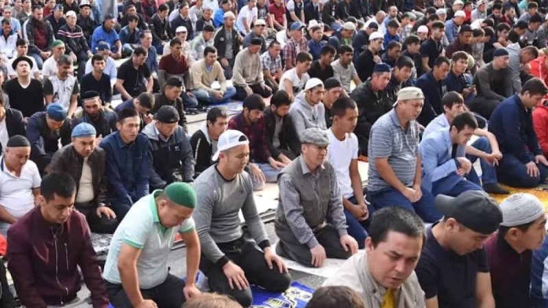 үнемдеудің ерекше тәсілі – видео