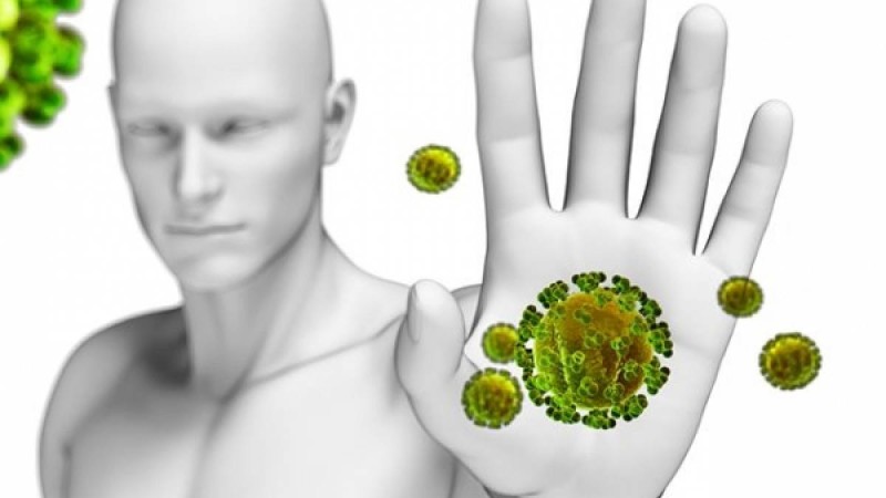 Иммунитетті көтерудің 14 тәсілі |