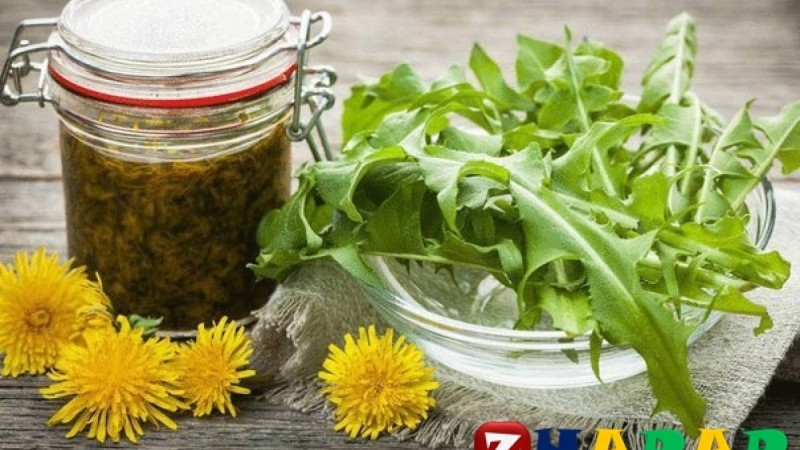 Бақбақ гүлінің адам денсаулығына пайдасы