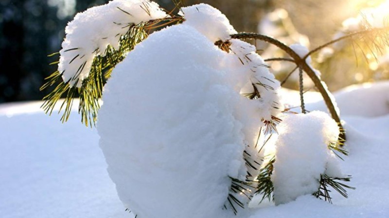 5-8 қаңтарға ауа райы болжамы: алдағы демалыста күн жылынады