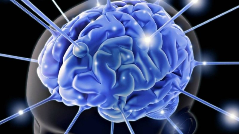 Ми жұмысына әсер ететін факторлар