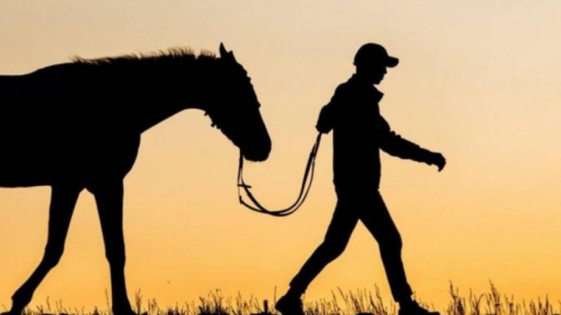 Жамбыл облысында асылып қалған малшы полиция инспекторынан қысым көргенін айтады