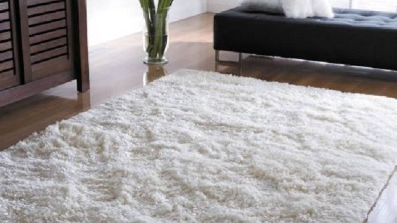 Кілемді қалай күтіп ұстауға болады?