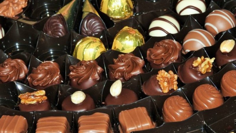 Түркістан облысында шоколад өндіретін цех іске қосылды