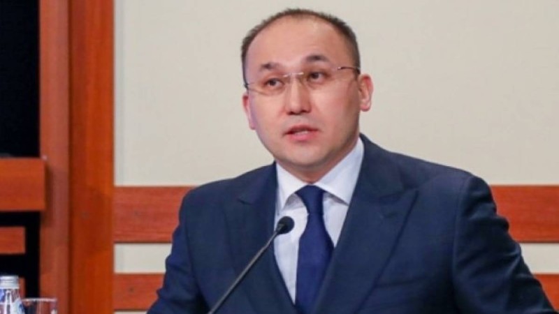 Балалардың өлімі бойынша министр Әбілқасымоваға ғана кінә арту әділетсіз