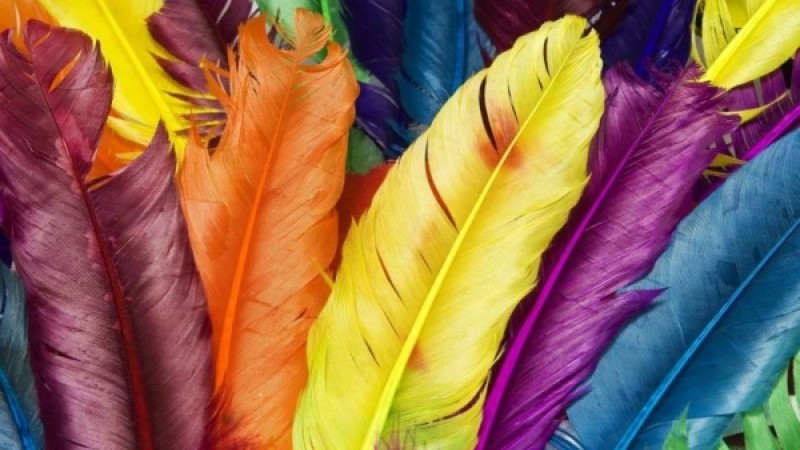 Бір түске деген құмарлық нені білдіреді?