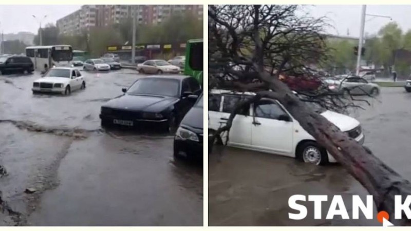 Жаңбырдан Алматы көшелерін су басып, тіпті ағаш тамырымен опырылып құлады (видео) - Қазақстан жаңалықтары