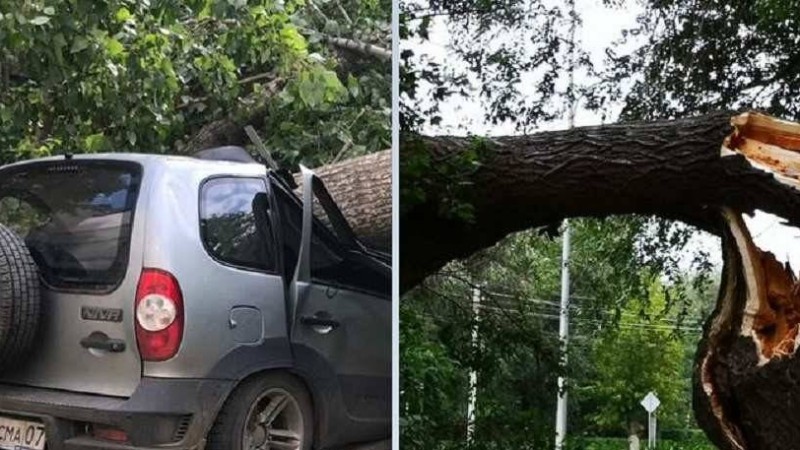 БҚО-да дауыл: Шатыр 8 жасар қыздың басына түсті - Қазақстан жаңалықтары