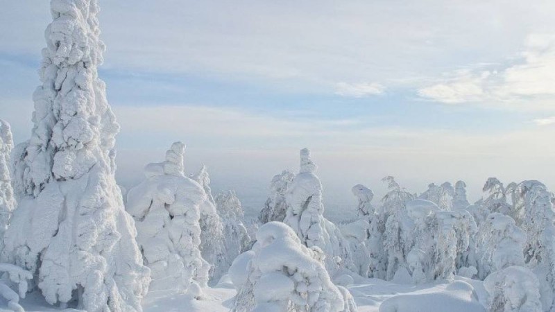 Бүгін еліміз бойынша бұрқасынды, аязды ауа райы сақталады