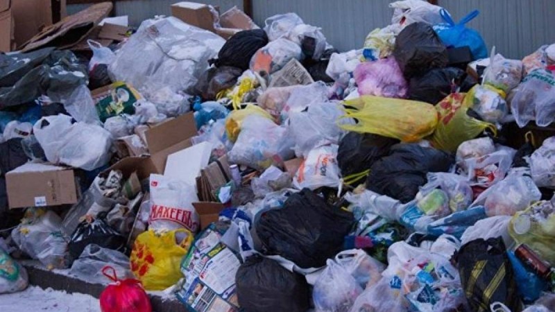 Нұр-Сұлтанның іргесіндегі ауылда иттердің өлексесі тура мешіт жанында жатыр