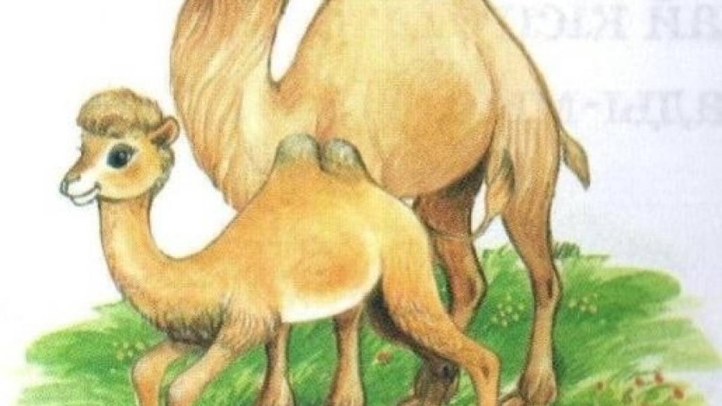 Қазақ тілінен сабақ жоспары: Үй жануарлары (4-сабақ) (1 сынып, 4 бөлім ) » ZHARAR